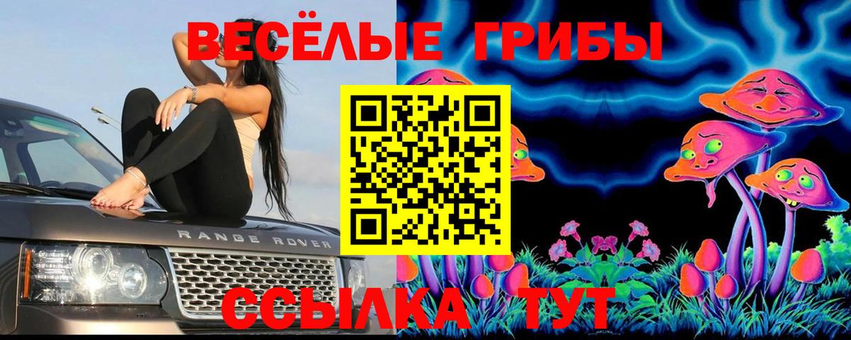 Псилоцибиновые грибы ЛСД  Вход с VPN  наркошоп  Дзержинский 